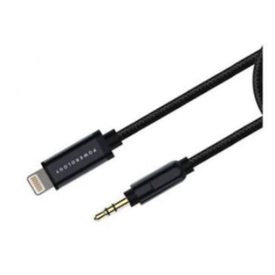 AUX connection for iPhone